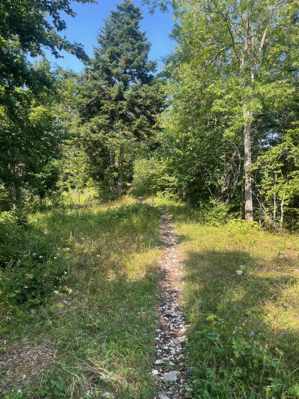 sentier sur la cr&ecirc;te de l'Haiea d'Aval