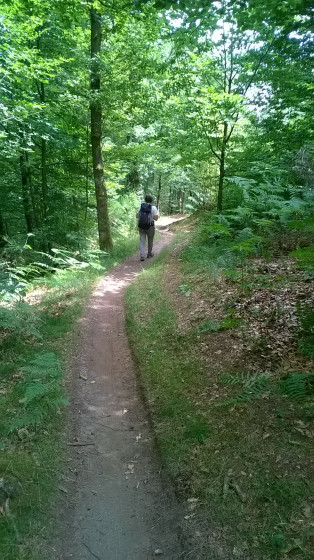 Sentier sur la cr&ecirc;te