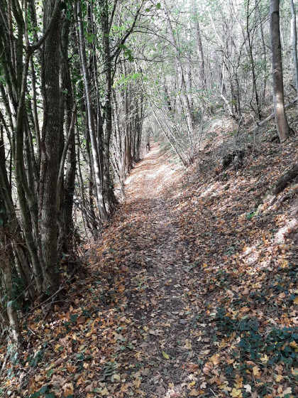 Sentier sur la rive gauche de l\'Eau Noire