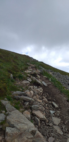 Sentier sur le flanc du Grand Ballon