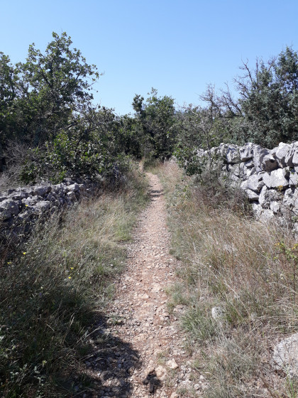 Sentier sur le plateau