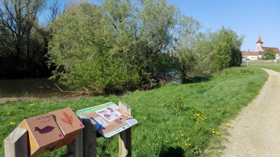 Sentier thématique des mares - Louhans