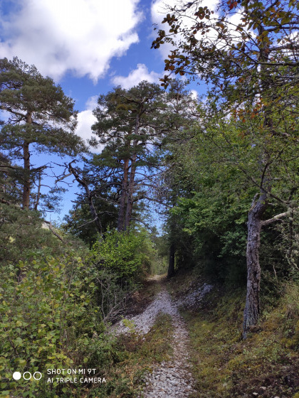 Sentier tracastel