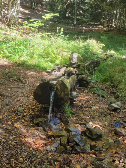 Sentier tranquille