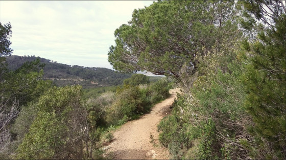 Sentier très doux