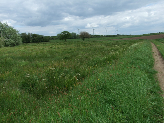 Sentier vers les éoliennes