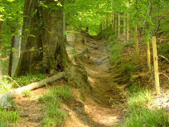 Sentier vers les Sept Fontaines