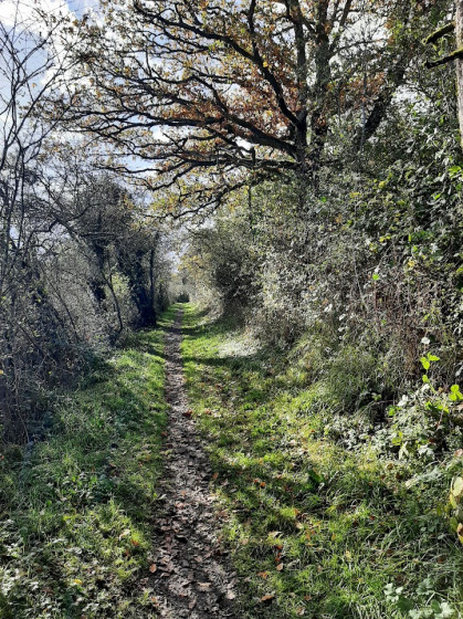 Sentier vers Olloy sous le soleil