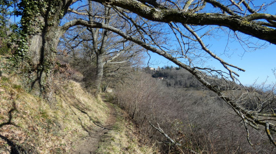 Sentier vers Riverie