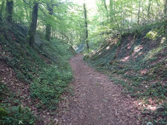 sentier vers Stainville