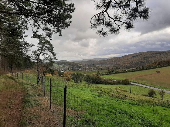 Sentier vers Treignes