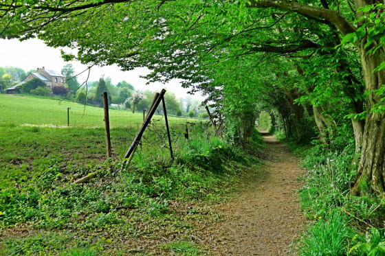 Sentier