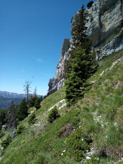 Sentier