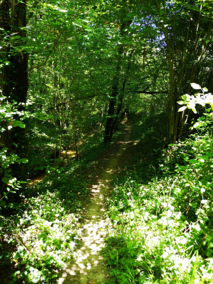 sentier