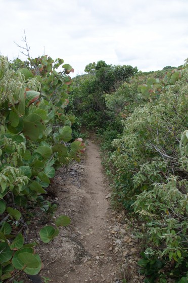 Sentier
