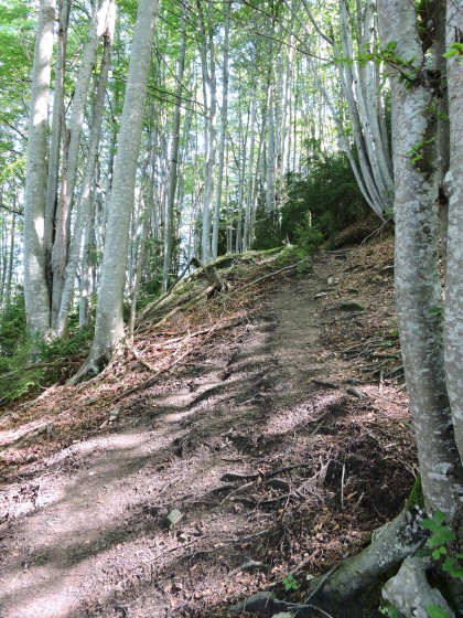 Sentier