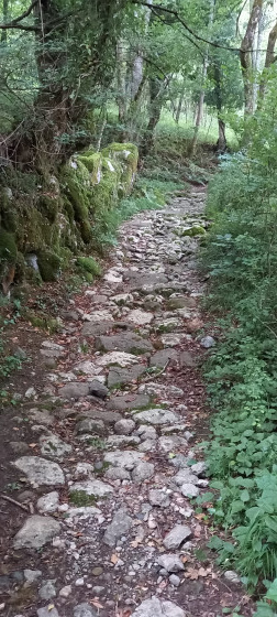 Sentier