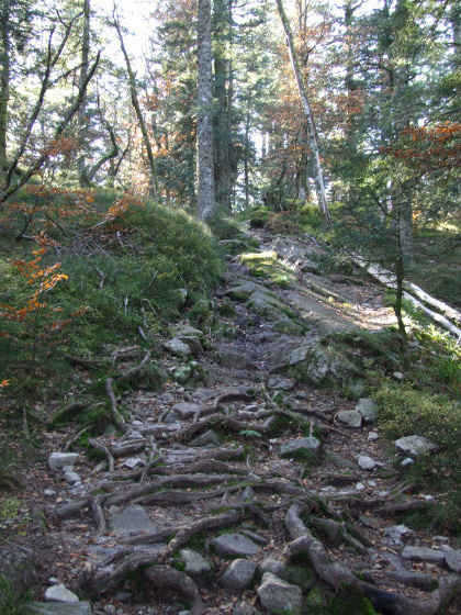 Sentier