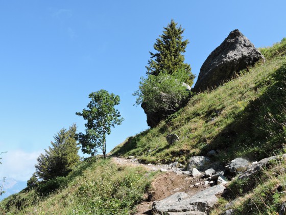 Sentier