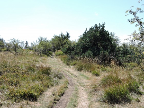 Sentier