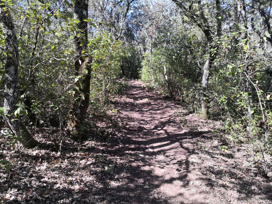 sentier