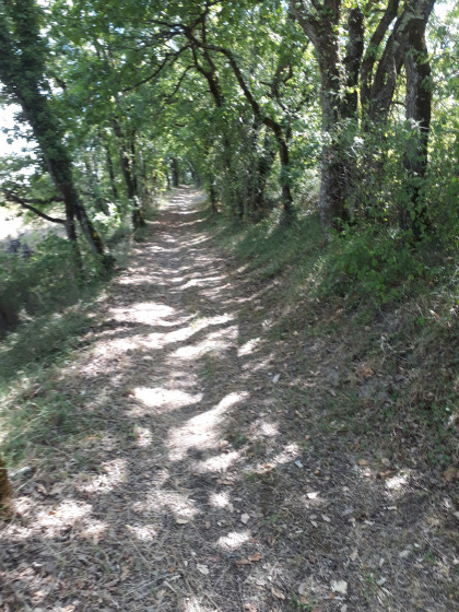 Sentier