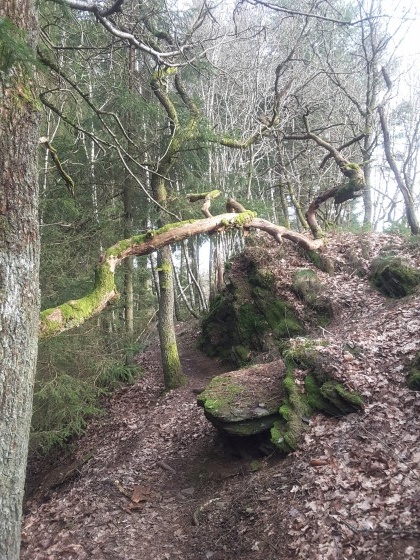 Sentier