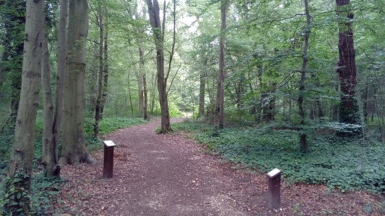 Sentier