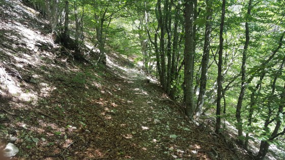 Sentier