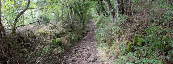 Sentier