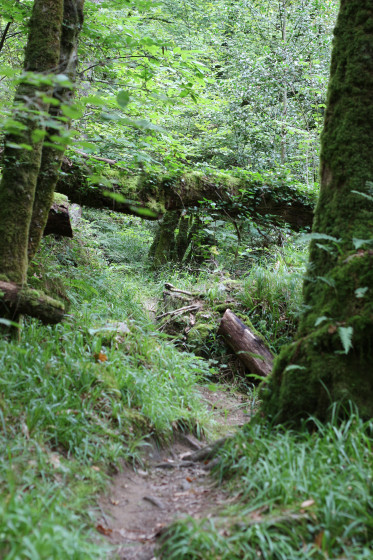 Sentier