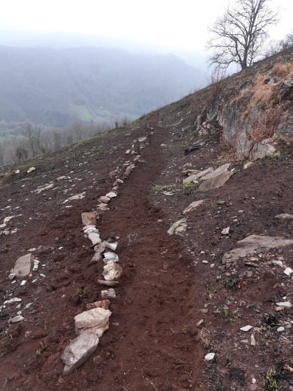 sentier