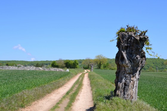 Sentier