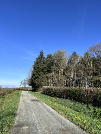 sentier