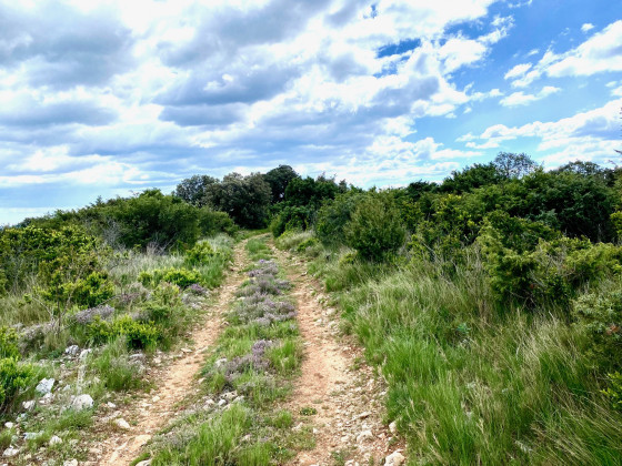Sentier