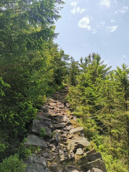 Sentier