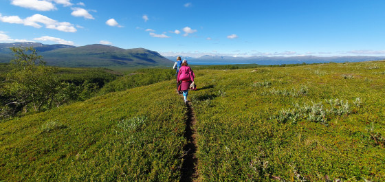 Sentier