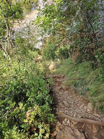 sentier