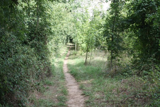 Sentier