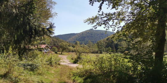 Sentier