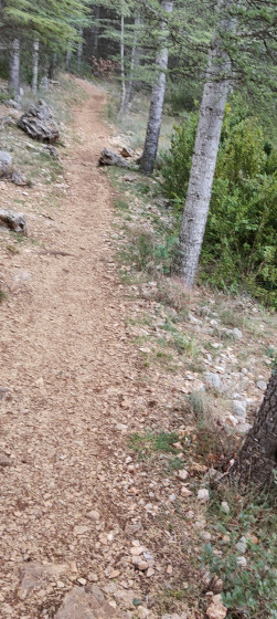 Sentier