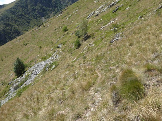 Sentier