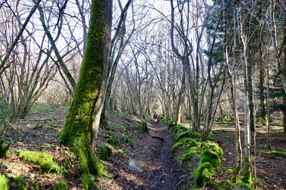 Sentier...