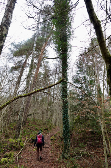 Sentier...