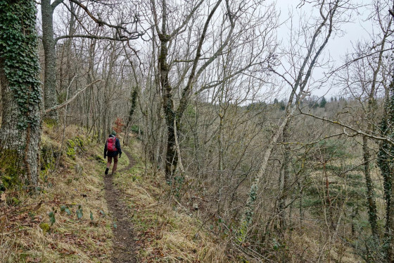 Sentier...