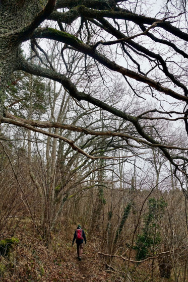 Sentier...