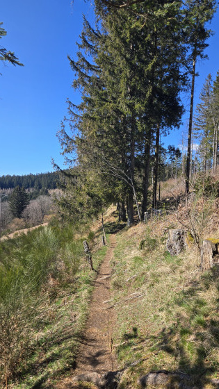 Sentier