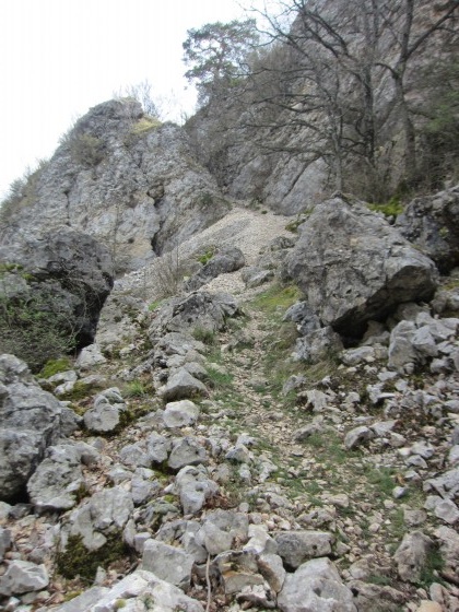 Sentier