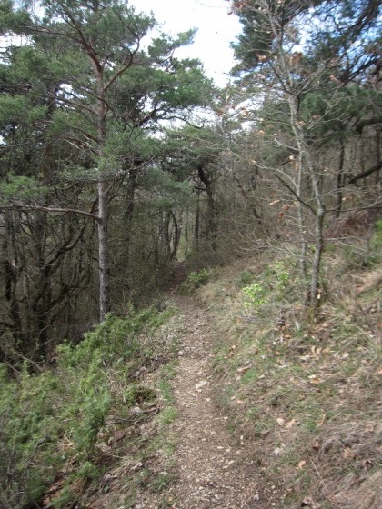 Sentier