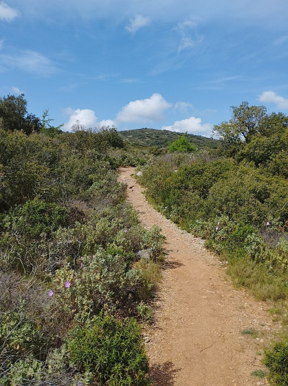 Sentier